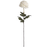 Large White Single Stem Chrysanthemum