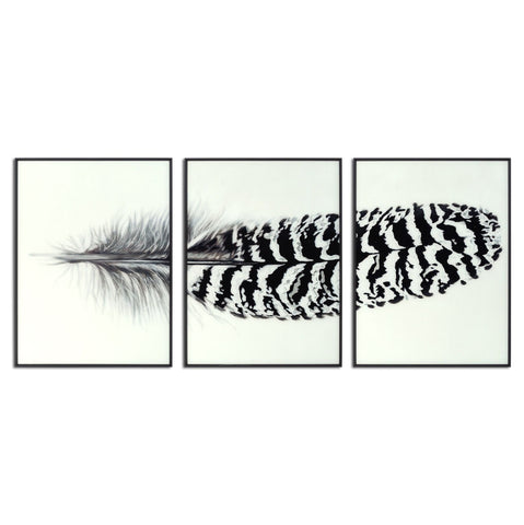 Black Striped Feather Over Black Glass Framed Wall Art