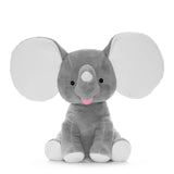 Grey Dumble Cubbies Bear With Gift Box