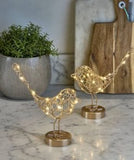 Gold LED Robin Light
