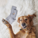 Golden Retriever Socks