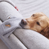 Golden Retriever Socks
