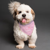 Personalised Princess Dog Bandana.
