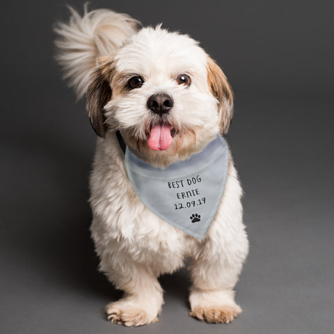 Personalised Dog Bandana.