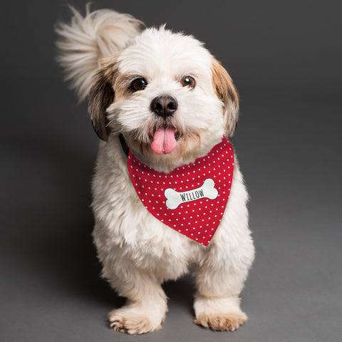 Personalised Red Polka Dot Dog Bandana.