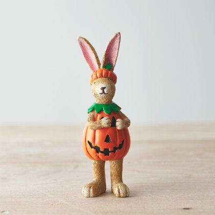 Standing Pumpkin Rabbit 14cm